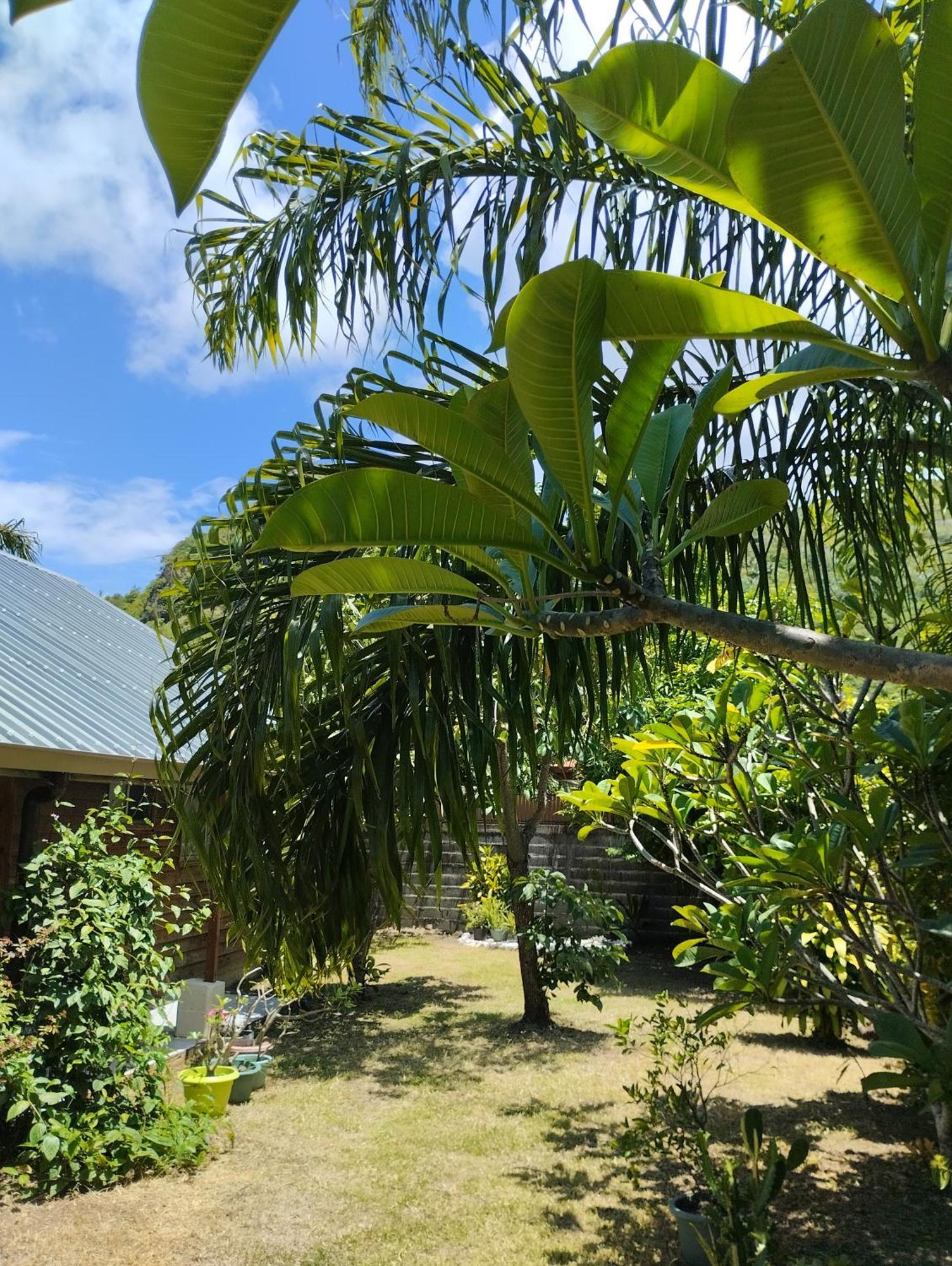 Tema'E Beach House Temae Eksteriør billede